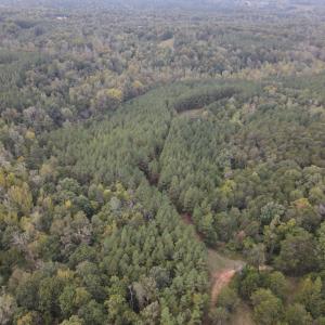 DJI_0519