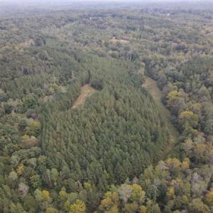DJI_0523