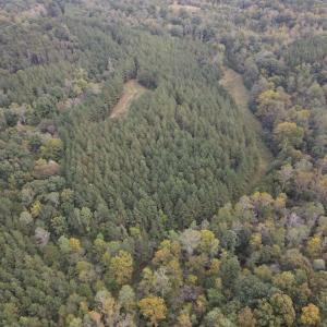 DJI_0524