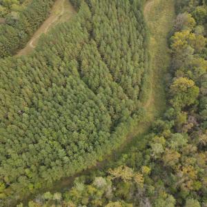 DJI_0526