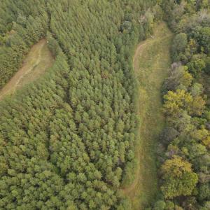 DJI_0527