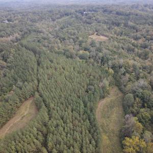 DJI_0528