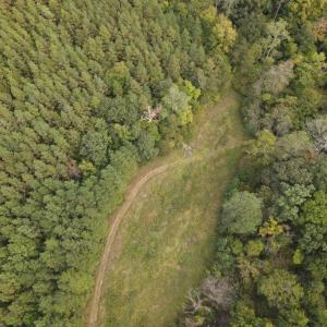 DJI_0529