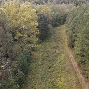 DJI_0531