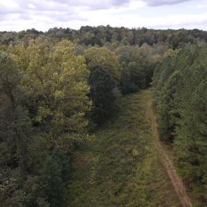 DJI_0532