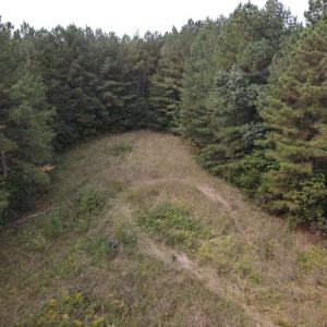 DJI_0533