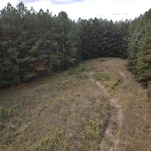 DJI_0535