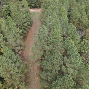 DJI_0536