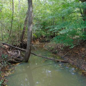 DSC01197