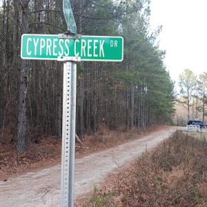 Cypress Creek 3