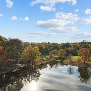 52-web-or-mls-DJI_0161