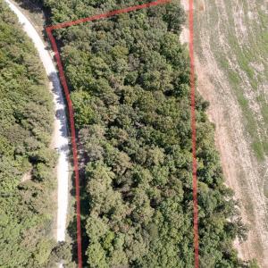 Through_1Lens_20250921_081329_0000