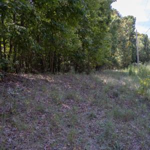 UnionCountyWhisperHallow20250919GroundPh