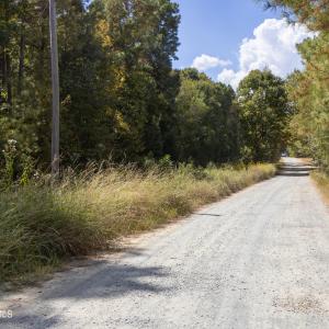 UnionCountyWhisperHallow20250919GroundPh