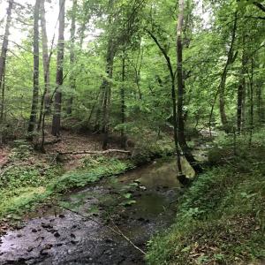 Creek