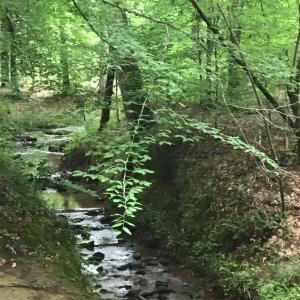 Creek