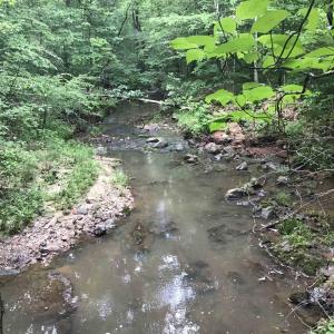 Creek