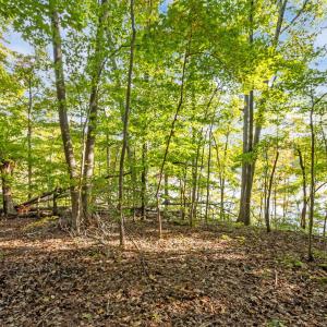 13-web-or-mls-P1088011