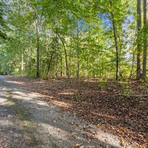 15-web-or-mls-P1088013