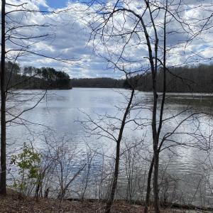 lot 23 view 2