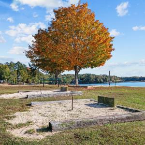 Pavilion Horse Shoes