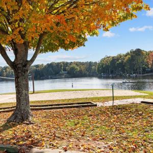 Pavilion Volley Ball1