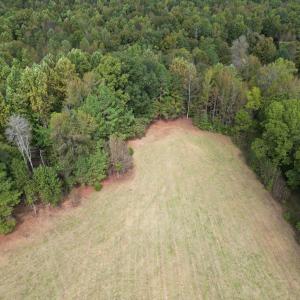 DJI_0618
