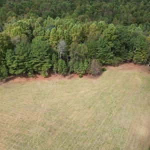 DJI_0620