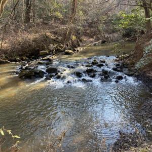 Pocket Creek
