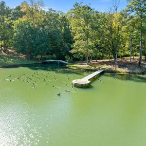13-web-or-mls-DJI_0679