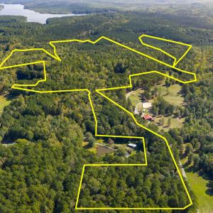 262EllisRd-010_Lines