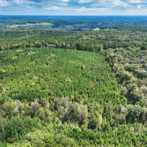 7_photo-8635-johnson-mill-road