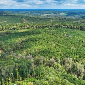 8_photo-8635-johnson-mill-road