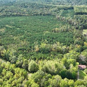 16_photo-8635-johnson-mill-road