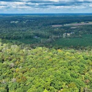 Screenshot 2025-11-16 143206