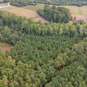 4-web-or-mls-DJI_20251001081130_0308_D