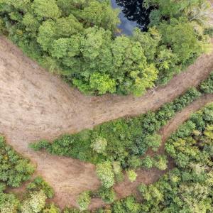 11-web-or-mls-DJI_20251001081952_0319_D