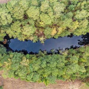 12-web-or-mls-DJI_20251001082014_0320_D