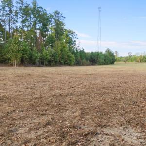 19-web-or-mls-DJI_20251006160821_0603_D