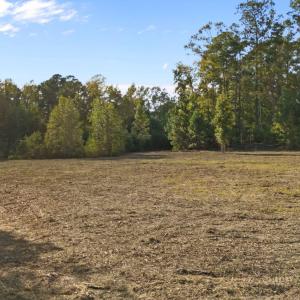 29-web-or-mls-DJI_20251006161919_0614_D