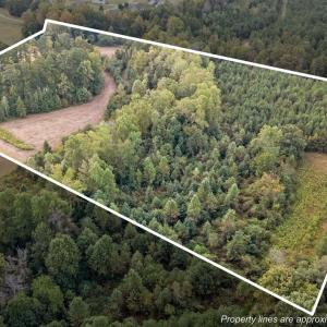 2-web-or-mls-DJI_20251001081244_0310_D_1