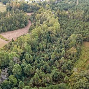 5-web-or-mls-DJI_20251001081244_0310_D