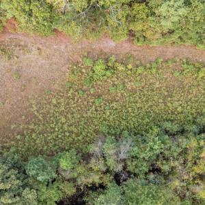 15-web-or-mls-DJI_20251001082233_0325_D