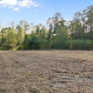 23-web-or-mls-DJI_20251006161220_0608_D