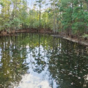 24-web-or-mls-DJI_20251006161514_0609_D