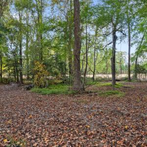 30-web-or-mls-DSC09950