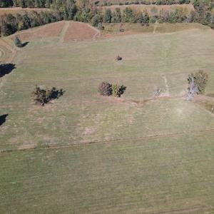 DJI_0544