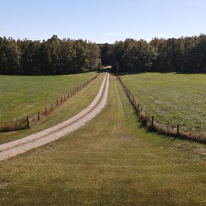 DJI_0559