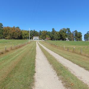 DSC01203