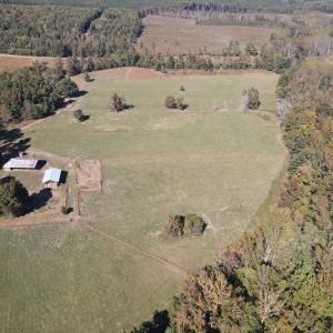 DJI_0545